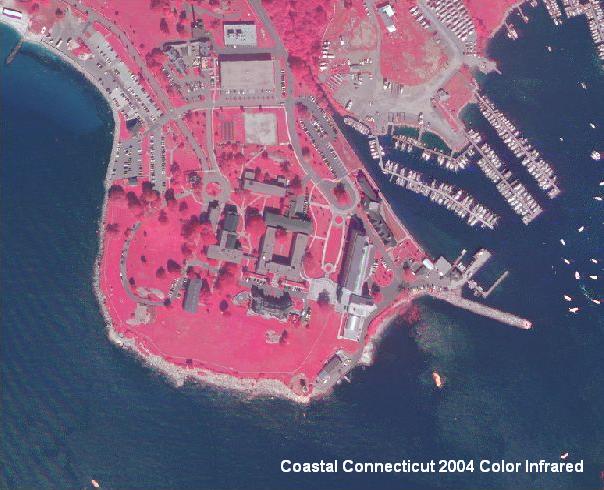 Example of 2004 Coastal Infrared Orthophotography