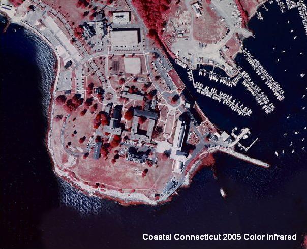 Example of 2005 Coastal Infrared Orthophotography