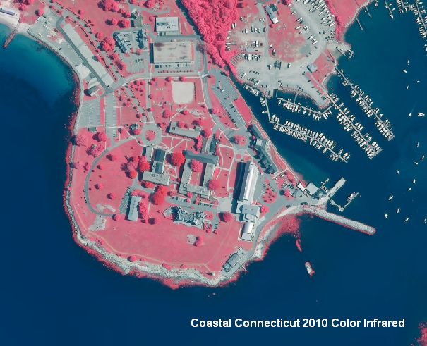 Example of 2010 Coastal Infrared Orthophotography