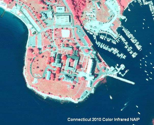 Example of 2010 NAIP Color Infrared Orthophotography