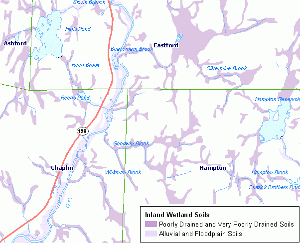 Example of Inland Wetland Soils